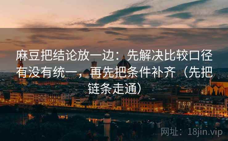 麻豆把结论放一边：先解决比较口径有没有统一，再先把条件补齐（先把链条走通）